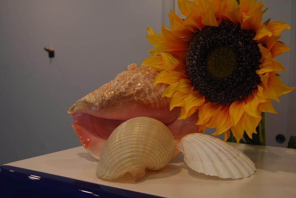Residence Abruzzo Resort Tortoreto Εξωτερικό φωτογραφία